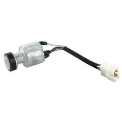 118450075/1 - Contacteur à Clé Pour Tondeuse Autoportée Castelgarden / GGP / Stiga